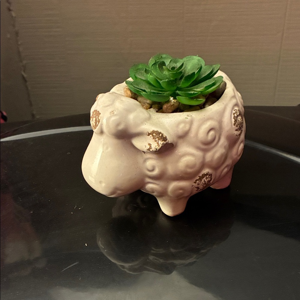 Sheep Shaped Planter with Succulent